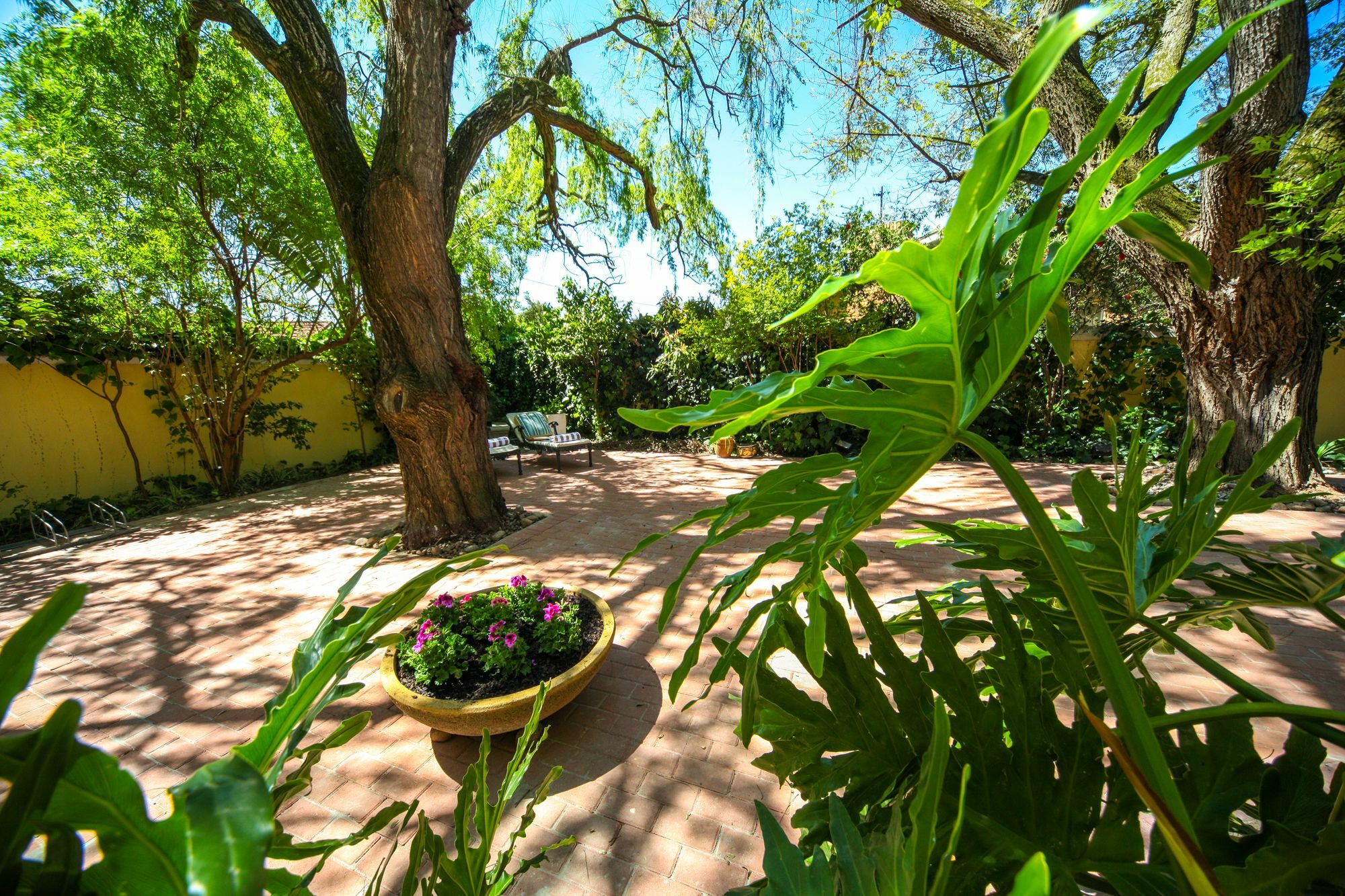 Hunneyball House Stellenbosch Bagian luar foto