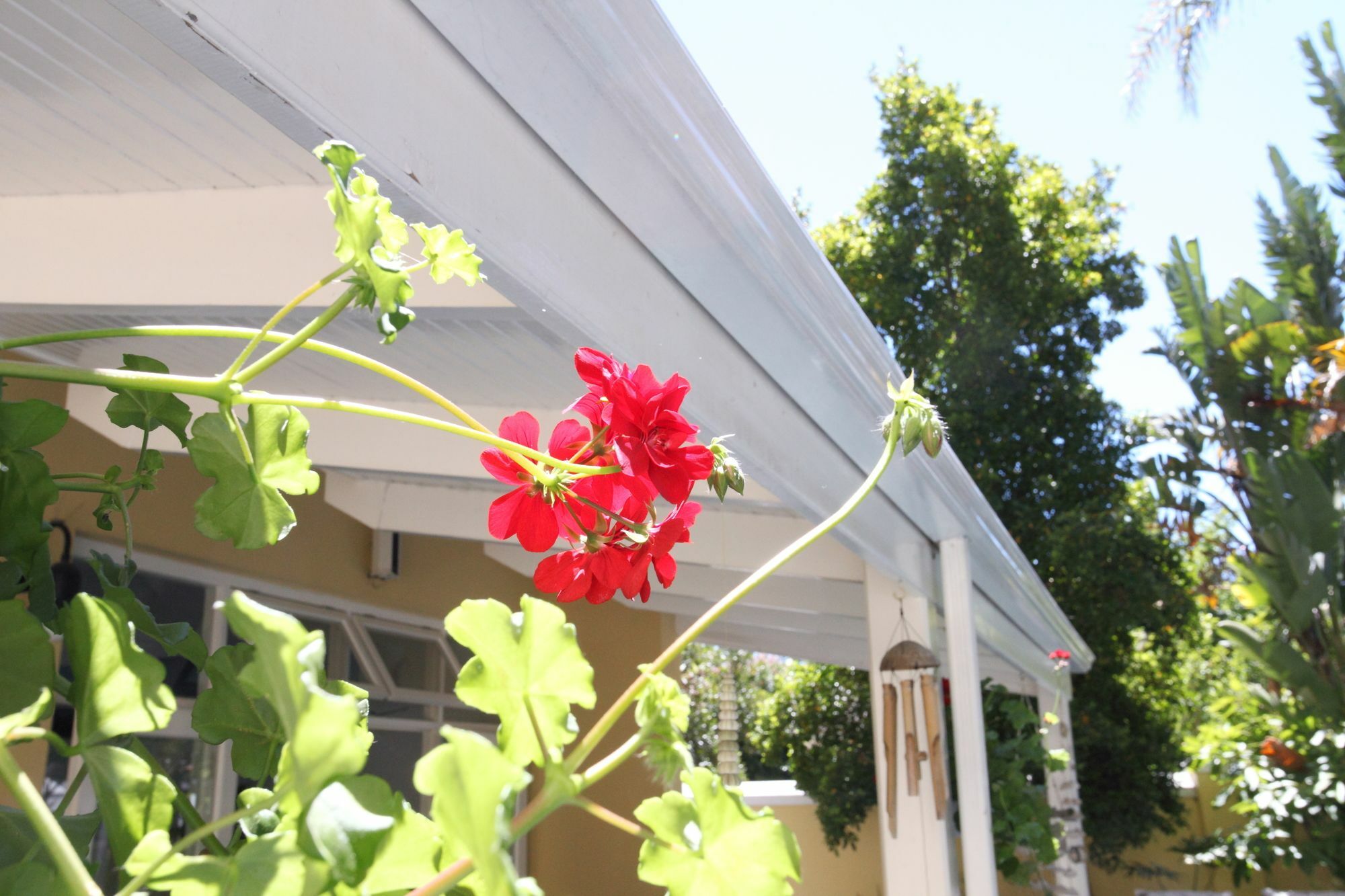 Hunneyball House Stellenbosch Bagian luar foto